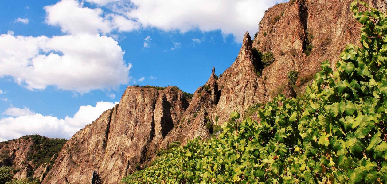 weingut-gaenz-roten-fels, © Weingut Gänz