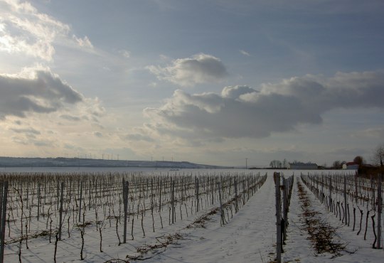 Winterlandschaft in Dorn-Dürkheim, © Stefan Pruin