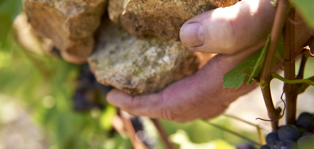 Weingut Michel-Pfannebecker_Hände, © Weingut Michel-Pfannebecker