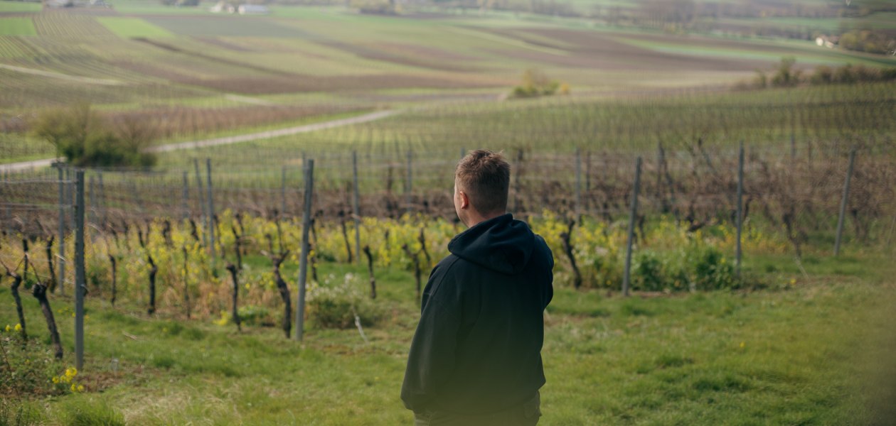 Weingut Binzel_Winzer Weinberg, © Weingut Binzel