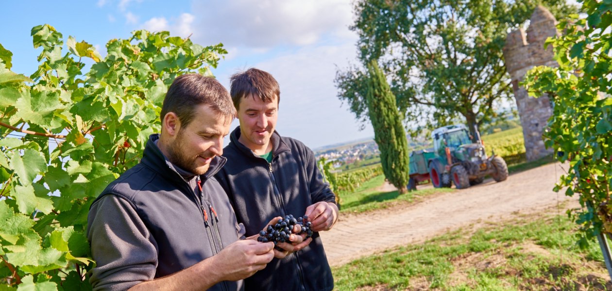 Weingut Geil_Winzer, © Weingut Geil