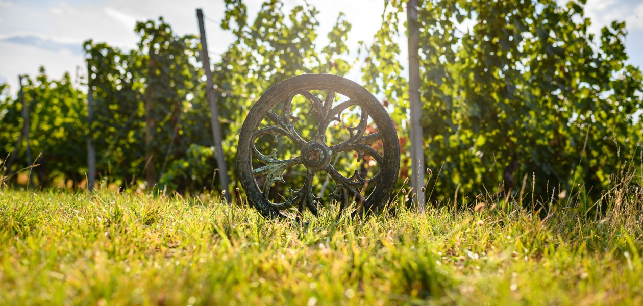 Weingut Köster-Wolf_Weinberg, © Weingut Köster-Wolf