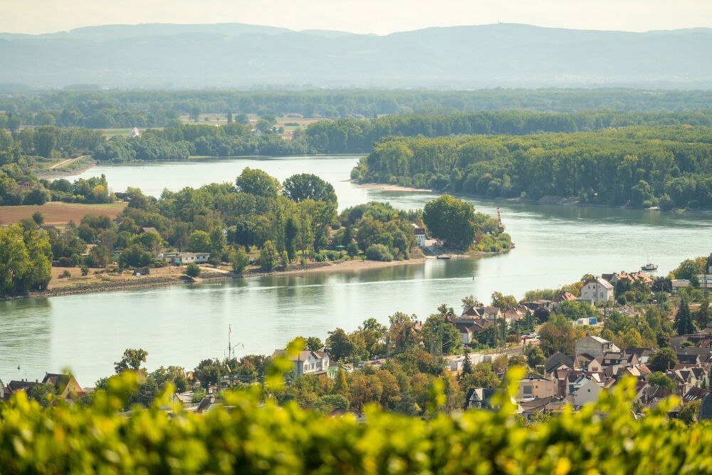 Rheinterrassenweg Aussichten Nierstein, © Dominik Ketz