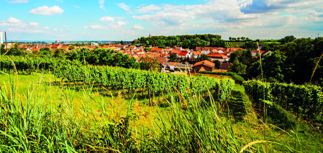 Weingut Steinmühle_Ort, © Weingut Steinmühle