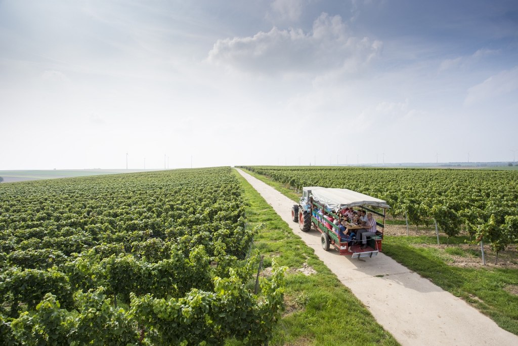 Weingut Helmut Best_Funzelfahrt, © Weingut Helmut Best