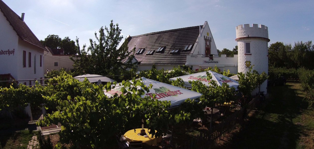 Burgunderhof Mergel_Weingut, © Burgunderhof Mergel