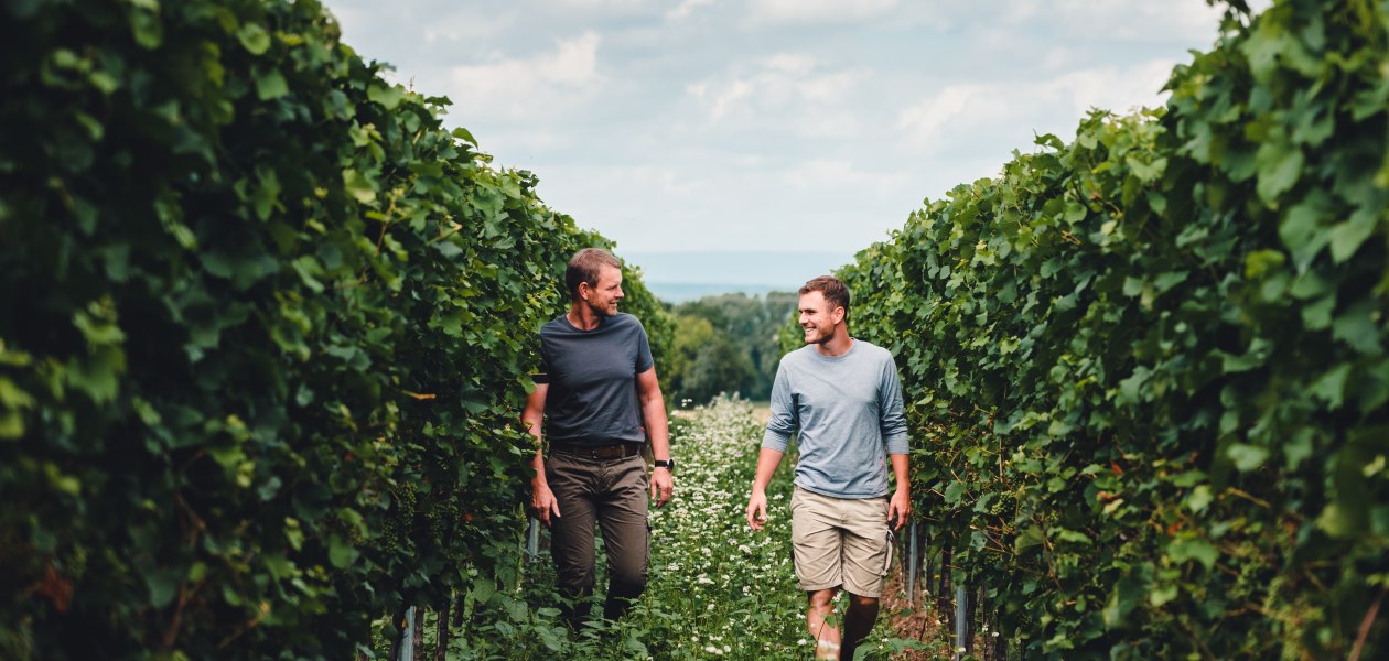 Weingut Kissinger_Weinberg, © Clemens Hess