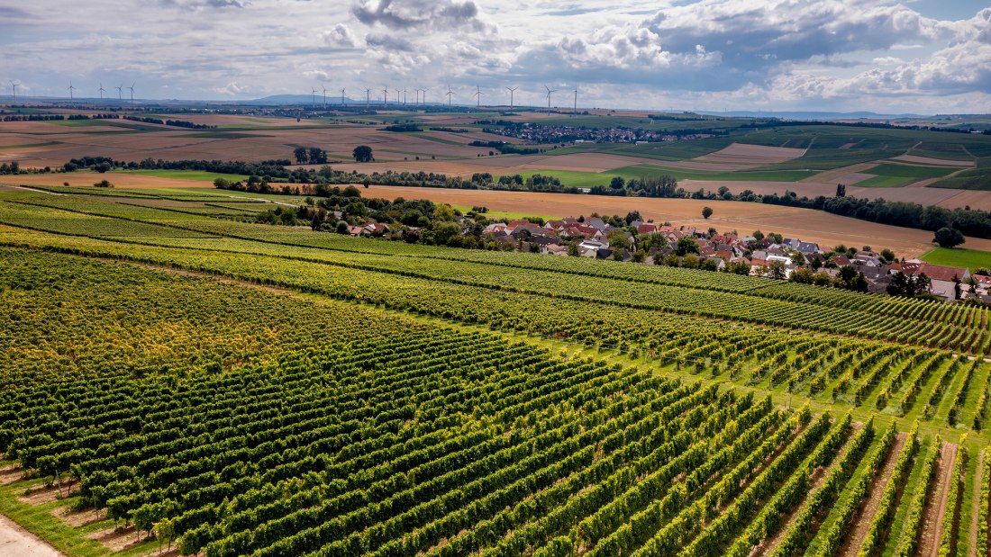 Sörgenlocher Moosberg