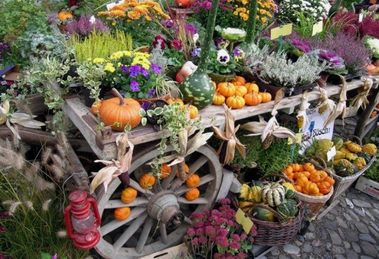 Herbstmarkt Nierstein, © Stadt Nierstein