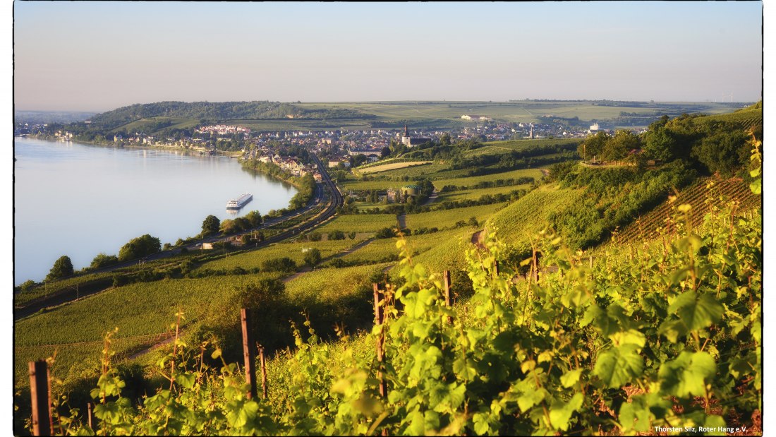 Weingut Wedekind_Panorama Hipping, © Weingut Wedekind