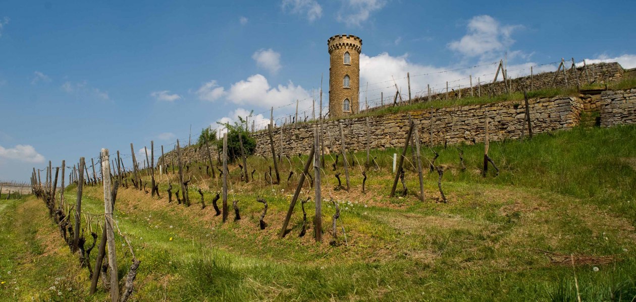 Weingut Heiligenblut_Turm 3, © Weingut Heiligenblut