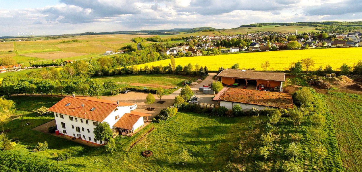 weingut-gaenz-luftaufnahme1, © Weingut Gänz