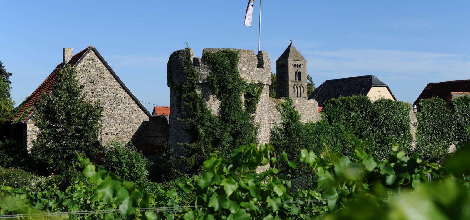 fleckenmauer-c-vg-monsheim-carsten-costard, © Carsten Costard